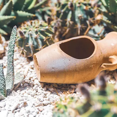 Casa De La Sera Gæstehus