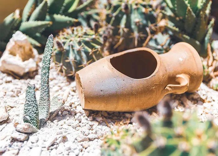 Casa De La Sera Gæstehus